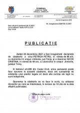Declaratie de casatorie Petrica Petru-Sicoe Cristina